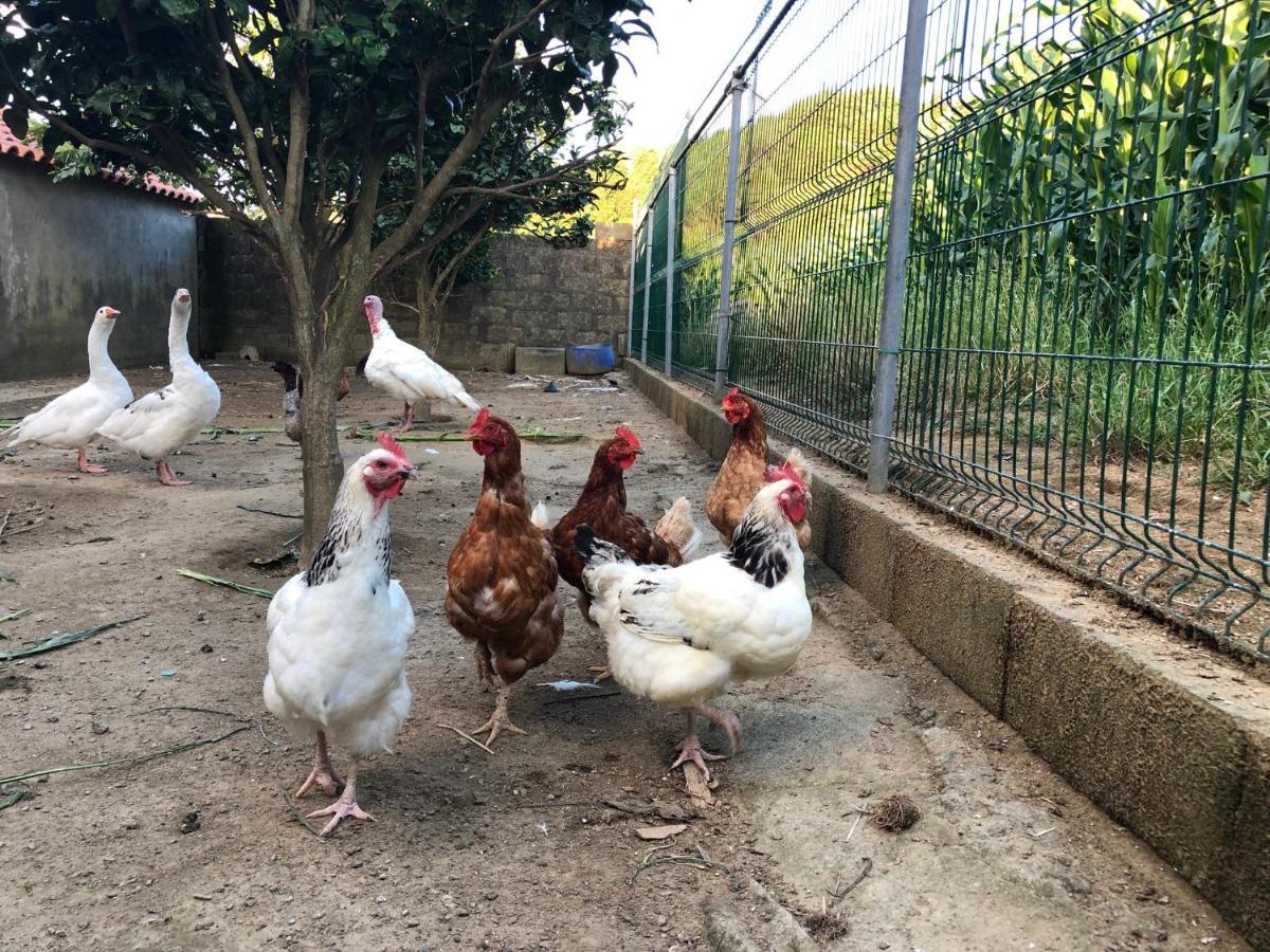 Quinta Do Avo Dimas - Rural Home - Sao Bras Porto Formoso Kültér fotó